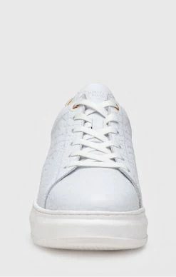 Gianni Kavanagh White Gold Upscale Sneakers -MIKINY Prodejní prodejna gianni kavanagh white gold upscale sneakers 6